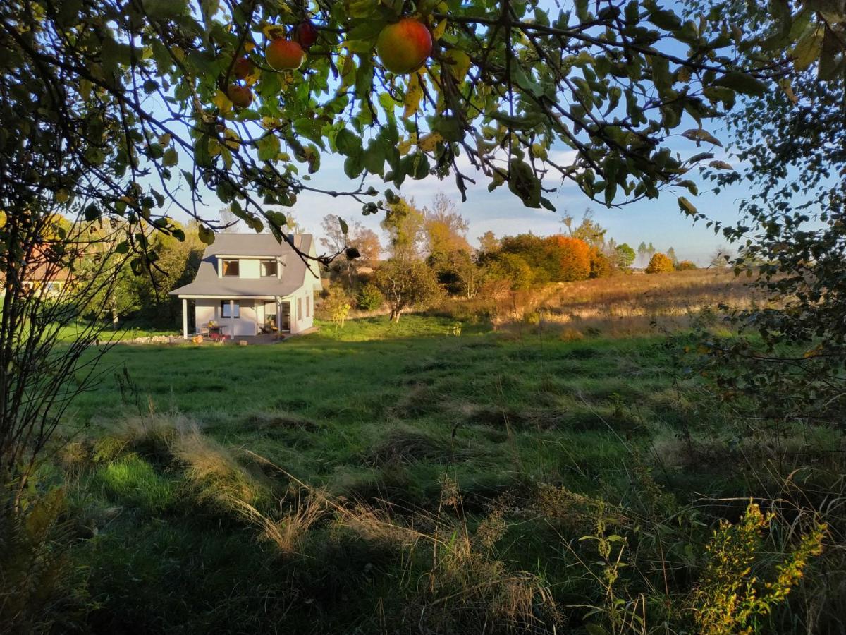 Chwila Pauzy Villa Tolkmicko Buitenkant foto