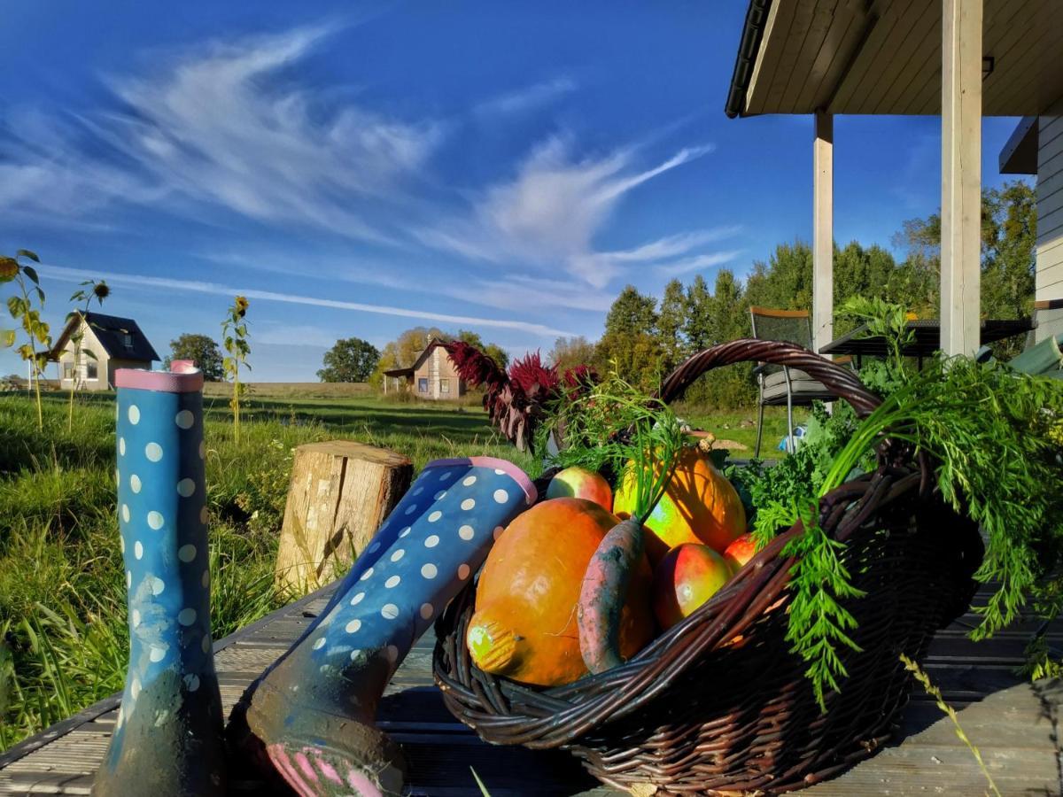 Chwila Pauzy Villa Tolkmicko Buitenkant foto